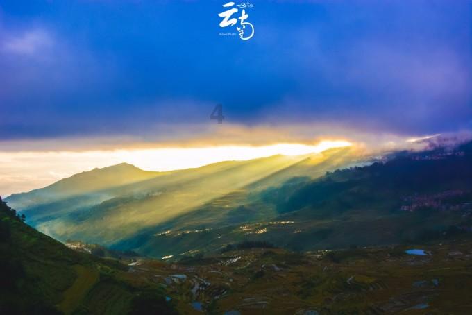 它是天然“止咳水”，咳嗽痰多就喝它，每天1杯，润肺化痰止咳