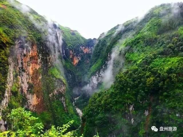 灌篮小高手